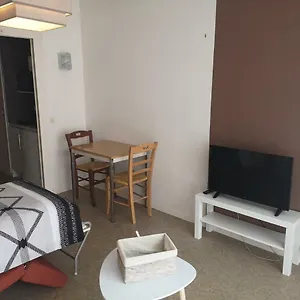 le-studio-309.hotels-rhonealpes.com/